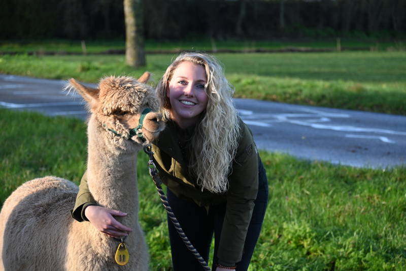 Alpaca Meet & Greet